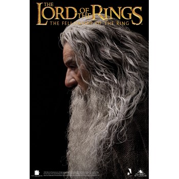 Lord Of The Rings The Fellowship of The Ring Gandalf 1/6 Scale Action Figure